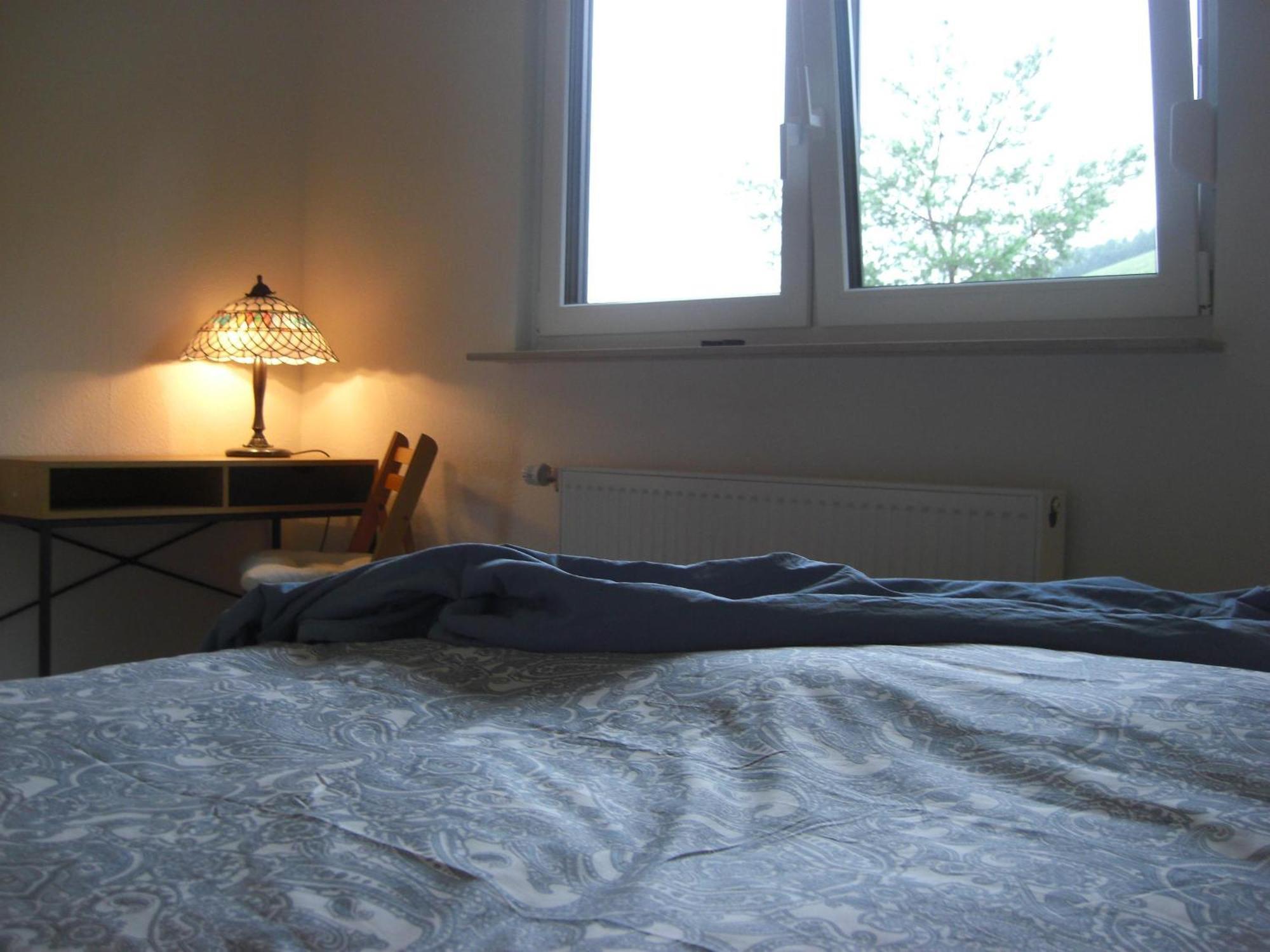 Ferienwohnung Alter Weinberg Saarburg Eksteriør billede
